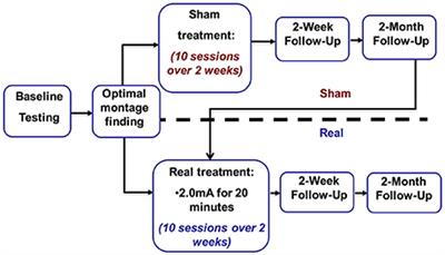 Transcranial Direct Current Stimulation in Post-stroke Chronic Aphasia: The Impact of Baseline Severity and Task Specificity in a Pilot Sample
